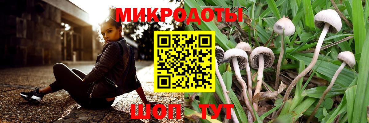 Псилоцибиновые грибы Psilocybine cubensis  Вход с VPN  Галлюциногенные грибы мицелий  Светлоград 